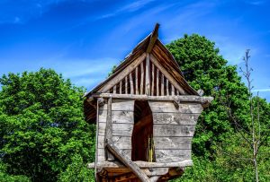 Leia mais sobre o artigo Sonhar com casa de madeira