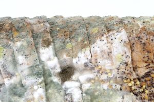 Leia mais sobre o artigo Sonhar com comida podre