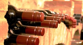 Sonhar com garrafas de vinho significa riqueza?