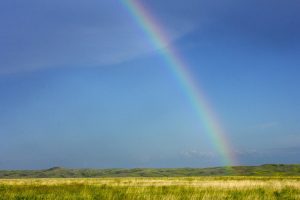 Leia mais sobre o artigo 11 Significados espirituais de ver arco-íris