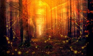 Leia mais sobre o artigo 9 Significados espirituais do vaga-lume: É sorte?