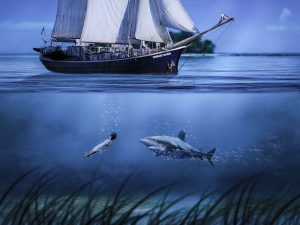 Leia mais sobre o artigo Qual o significado espiritual do tubarão?