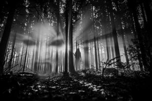 Leia mais sobre o artigo Sonhar lutando com demônios: Significados espirituais