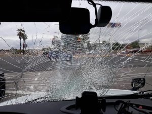 Leia mais sobre o artigo O que significa quando um pássaro bate no para-brisa?