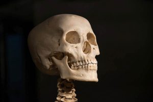 Leia mais sobre o artigo <strong>O Que Significa Sonhar Com Um Morto Sorrindo?</strong>