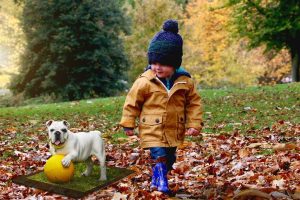 Leia mais sobre o artigo Sonhar com cachorro que já morreu e no sonho está vivo